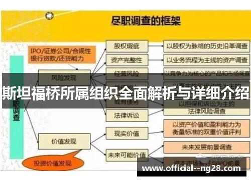 斯坦福桥所属组织全面解析与详细介绍 斯坦福桥所属组织全面解析与详细介绍