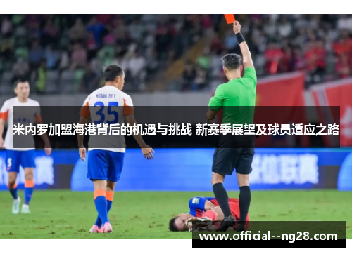米内罗加盟海港背后的机遇与挑战 新赛季展望及球员适应之路 米内罗加盟海港背后的机遇与挑战 新赛季展望及球员适应之路